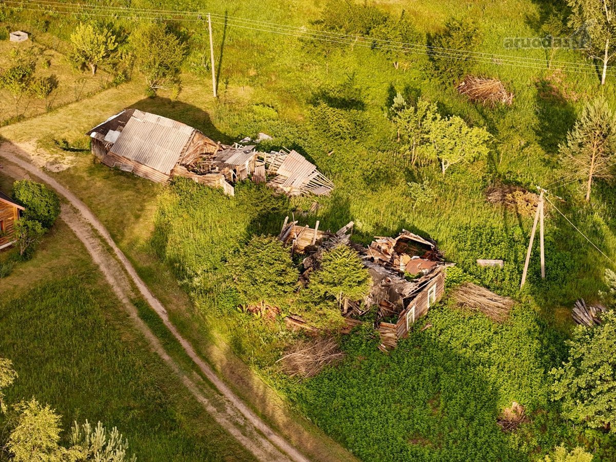 Tarp dviejų ežerų, Labanoro regioninio parko - nuotraukos Nr. 9