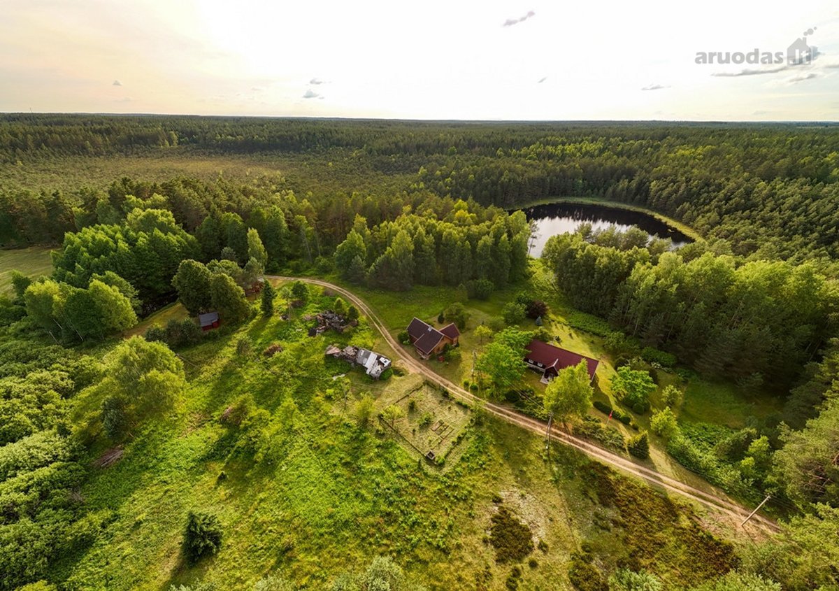 Tarp dviejų ežerų, Labanoro regioninio parko - nuotraukos Nr. 10