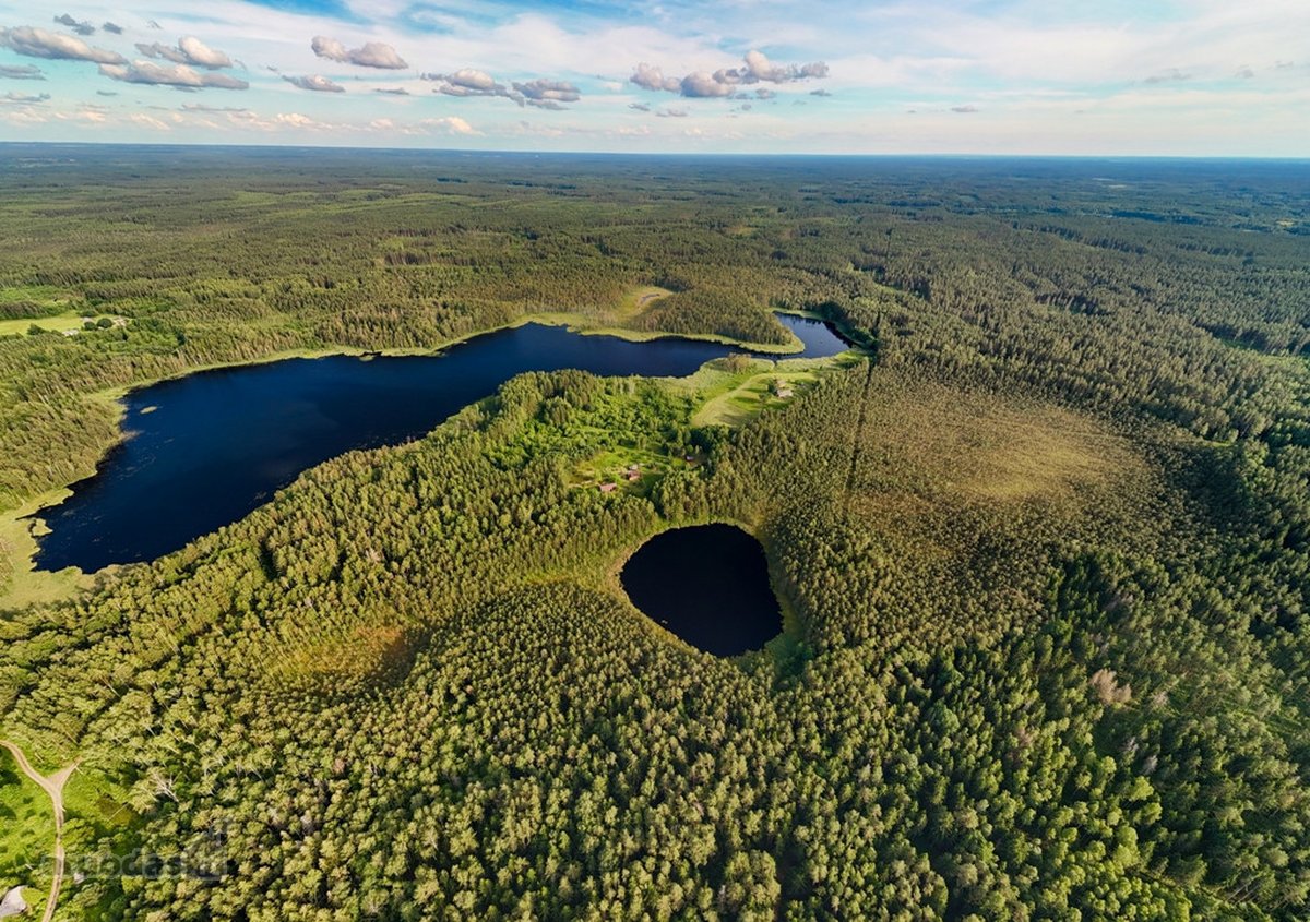 Tarp dviejų ežerų, Labanoro regioninio parko - nuotraukos Nr. 11