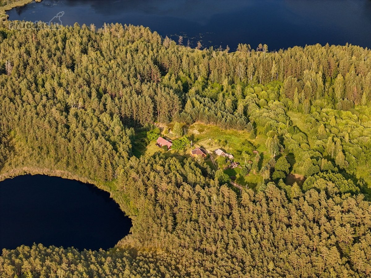 Tarp dviejų ežerų, Labanoro regioninio parko - nuotraukos Nr. 12