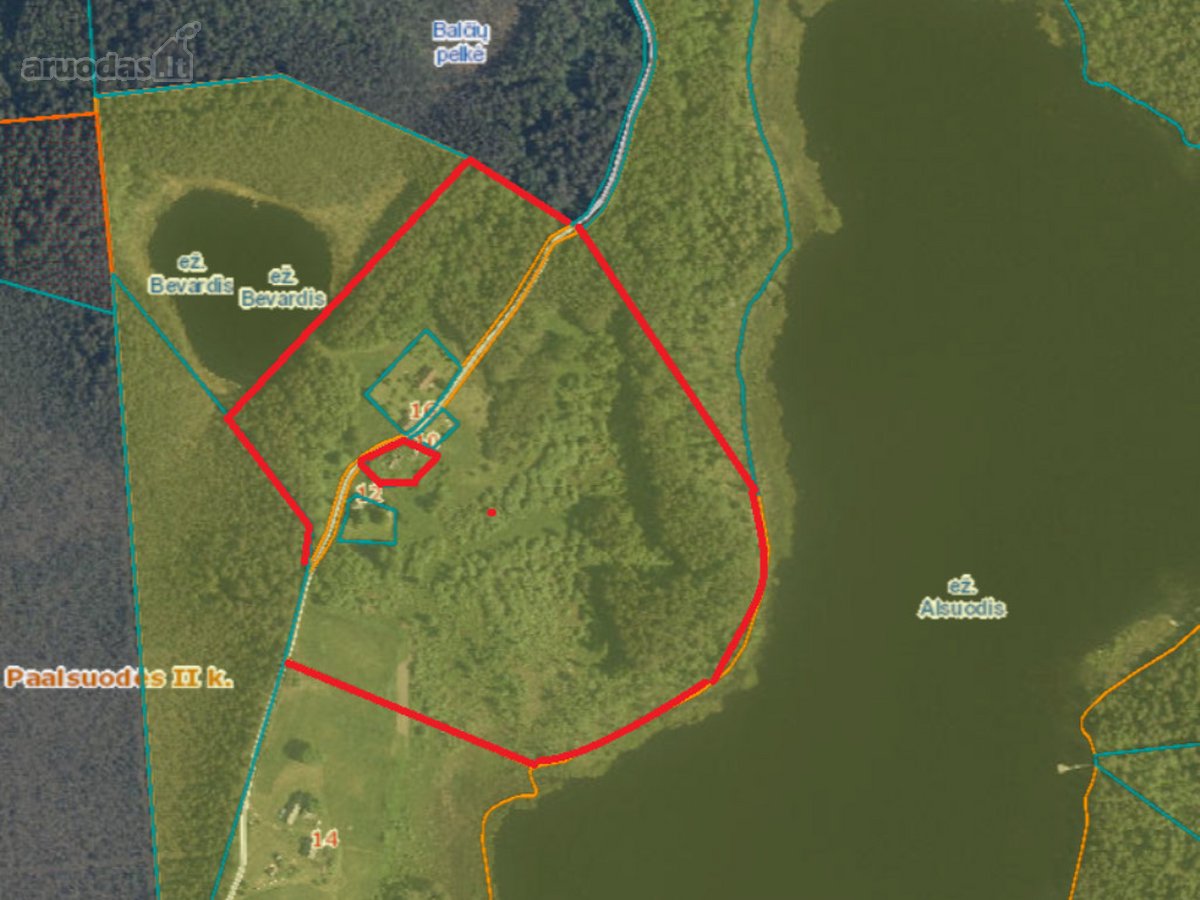 Tarp dviejų ežerų, Labanoro regioninio parko - nuotraukos Nr. 13