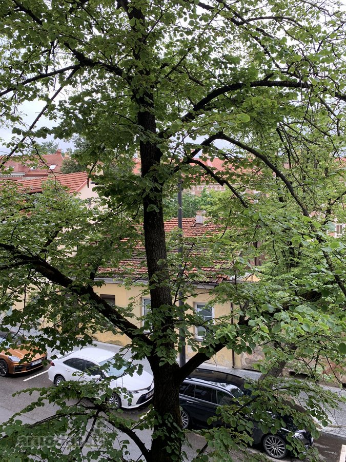 Vilniaus Senamiestyje, Aušros Vartų Prieigose - nuotraukos Nr. 16