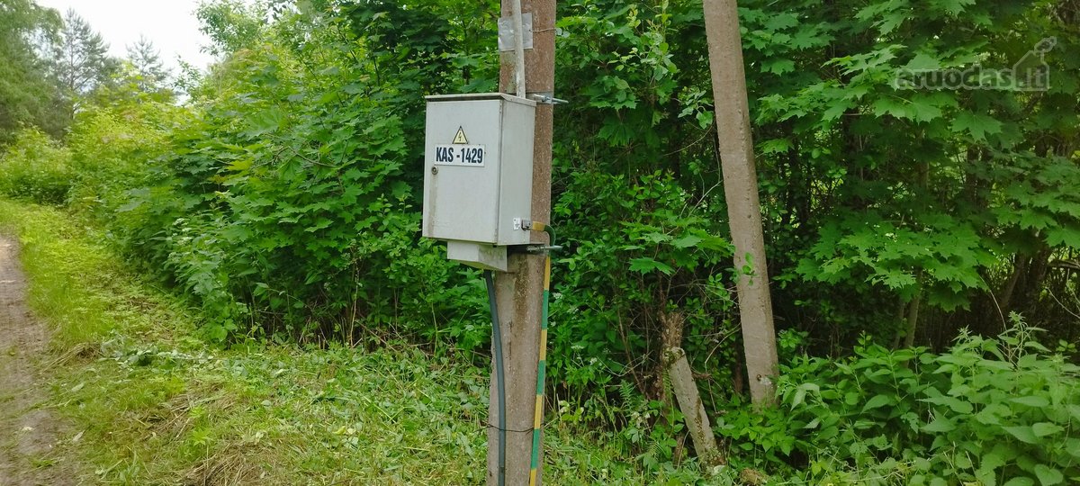 Sodyba parduodama be tarpininkų. Vieta rami - nuotraukos Nr. 17