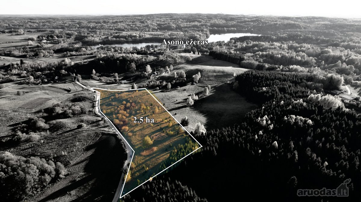 Parduodamas 2,5 ha sklypas 60 km nuo Vilniaus - nuotraukos Nr. 2