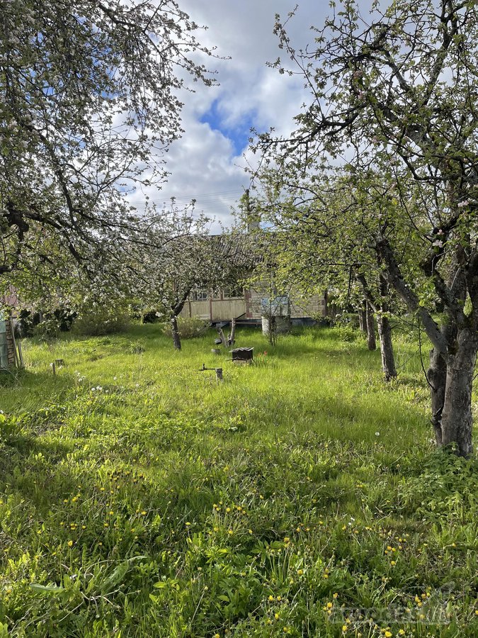 Ieškote ramaus kampelio poilsiui gamtos - nuotraukos Nr. 7