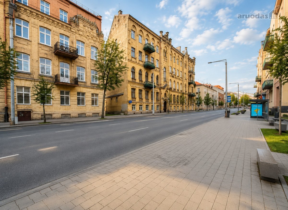 ? Nuomojamas 2 Kambarių Butas Pamėnkalnio G.