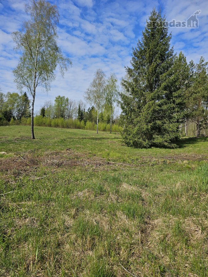Parduodamas gražioje ir ramioje , šalia - nuotraukos Nr. 2