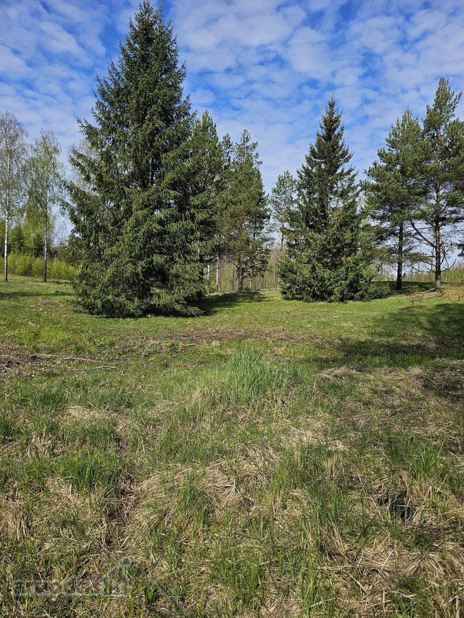 Parduodamas gražioje ir ramioje , šalia - nuotraukos Nr. 5