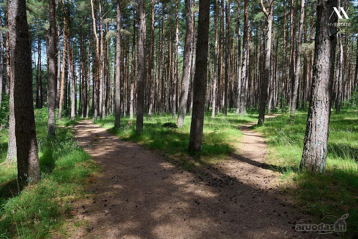 Parduodama Išskirtinė Vila Palangoje  Ajerų - nuotraukos Nr. 49