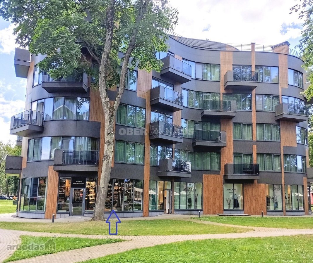 Pačiame Druskininkų centre ,Saulės Sonata, - nuotraukos Nr. 2