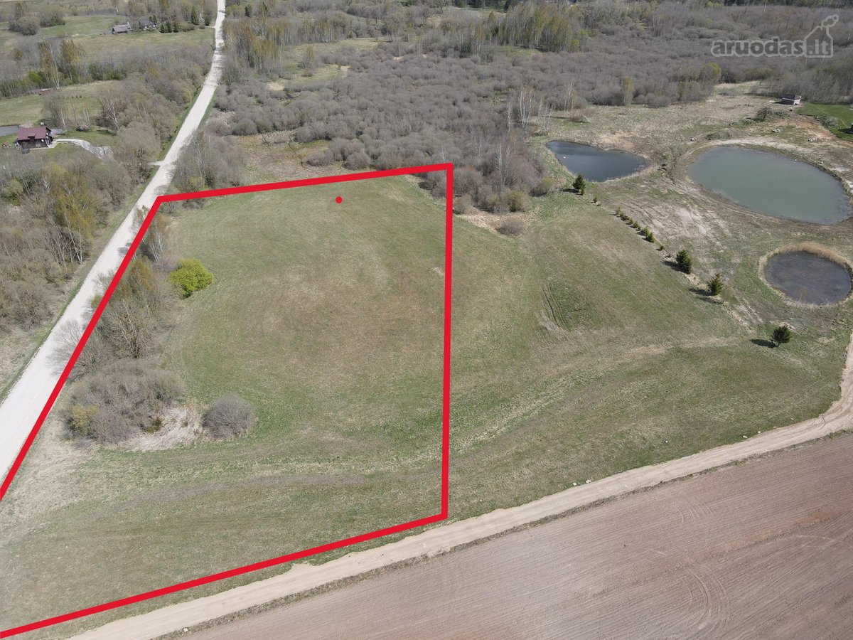 Parduodamas 8,21 Ha Žemės Ūkio Paskirties - nuotraukos Nr. 2