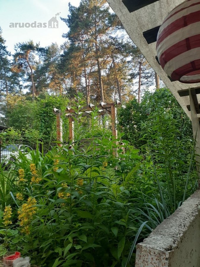 2 kambarių butas žaliame Vilniaus rajone su - nuotraukos Nr. 38