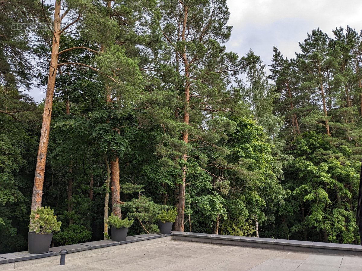 Išskirtinėje vietoje, Verkių regioninio parko - nuotraukos Nr. 42