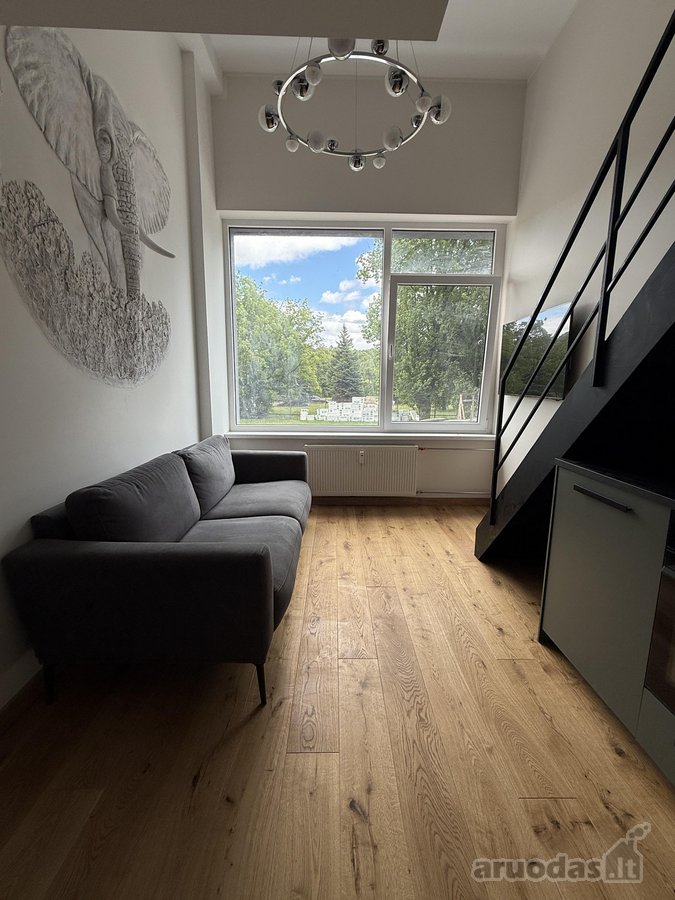 Parduodamas naujai įrengtas 29 kv. m loftas - nuotraukos Nr. 6