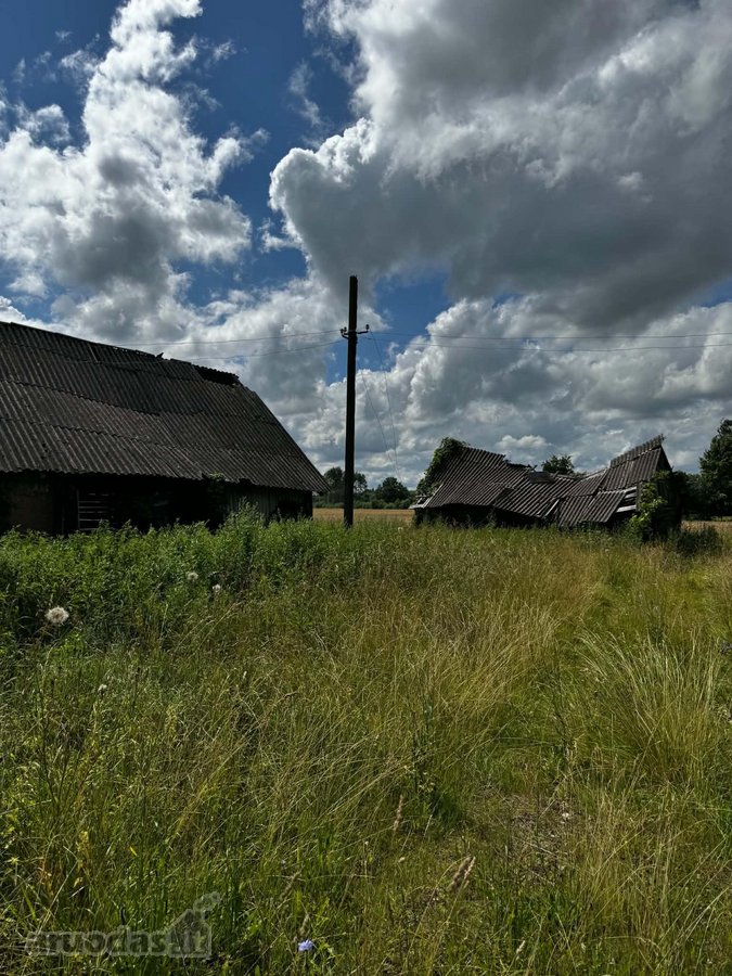 Parduodama sodyba Kupiškio rajone, Gričiūnų kaime - nuotraukos Nr. 5