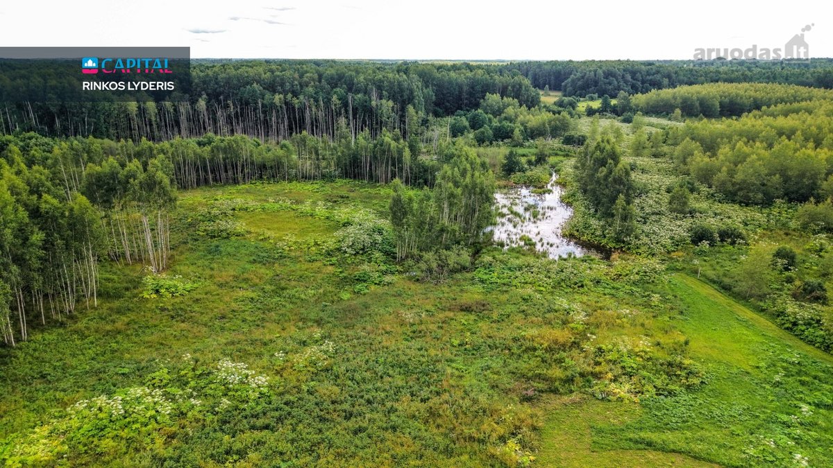 Parduodama Autentiška Ūkininko Sodyba Su 3,58 - nuotraukos Nr. 13