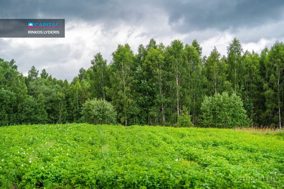Parduodama Autentiška Ūkininko Sodyba Su 3,58 - nuotraukos Nr. 16
