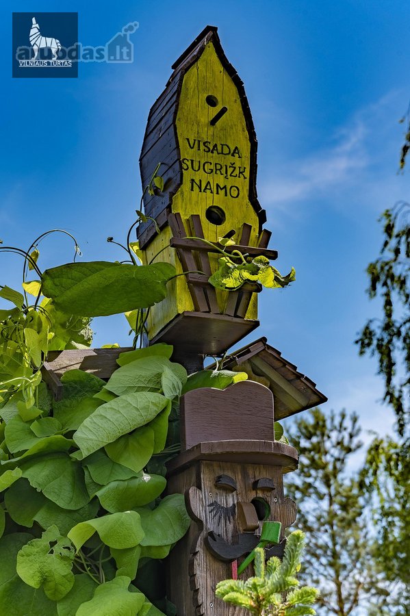 Retenybė Vilniaus Nt Rinkoje - Individualus - nuotraukos Nr. 7