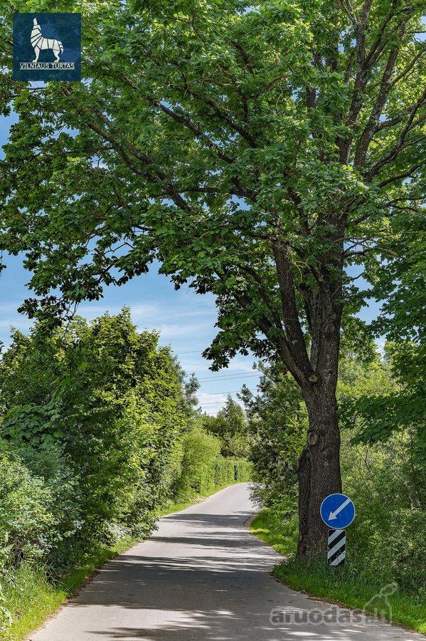 Retenybė Vilniaus Nt Rinkoje - Individualus - nuotraukos Nr. 26