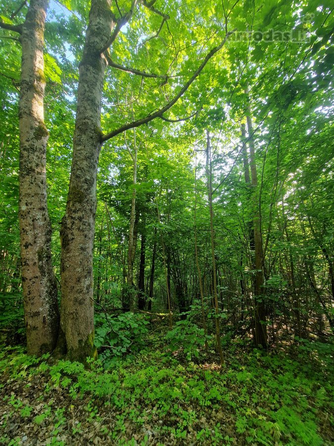 Klaipėdos r. sav., Kiškėnų k.