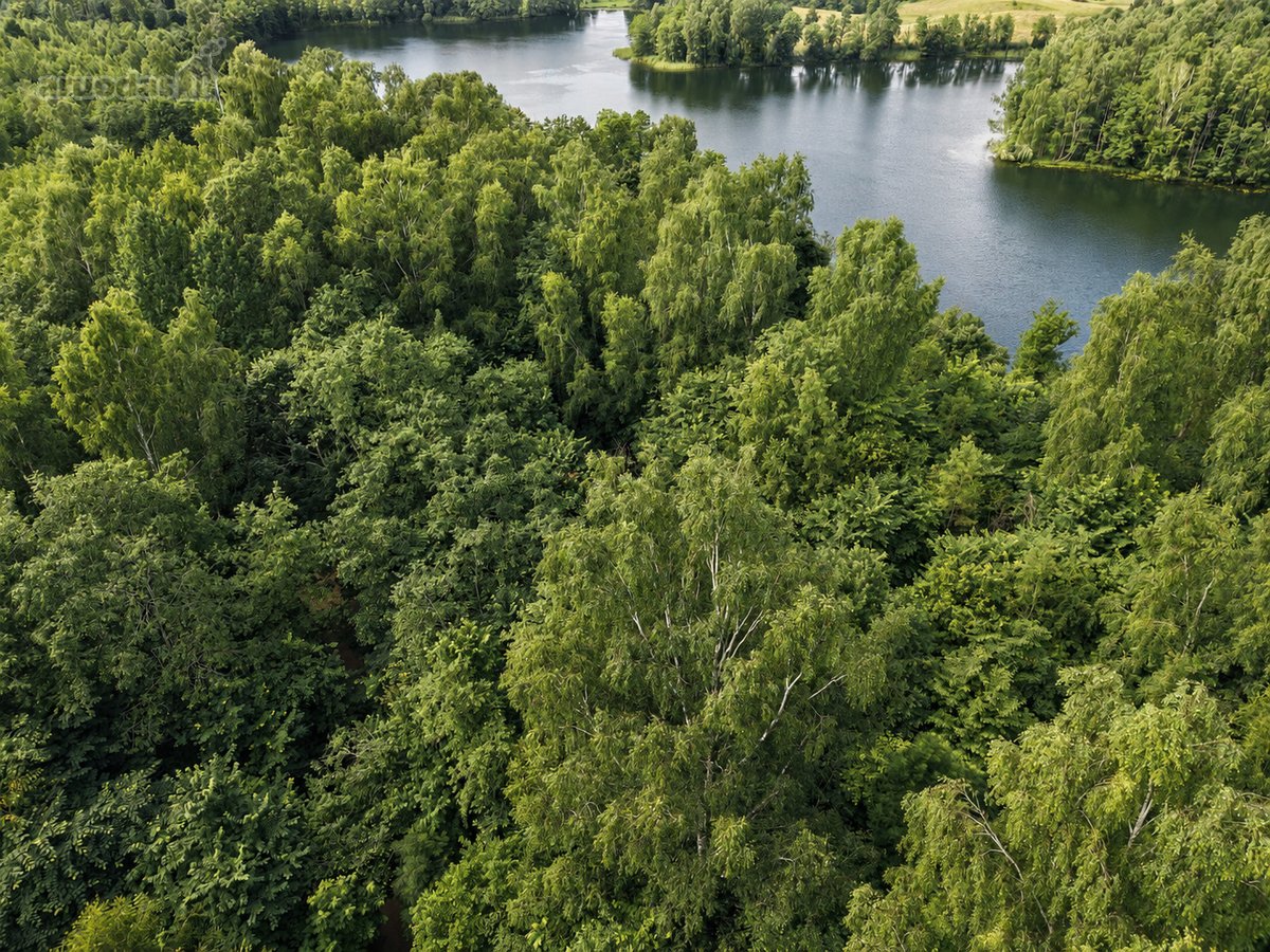 Parduodamas 97 a sklypas Dubingiuose su - nuotraukos Nr. 4