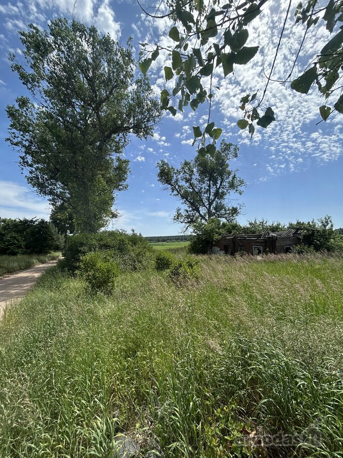 Varėnos r. sav., Kalėnų k. - nuotraukos Nr. 3