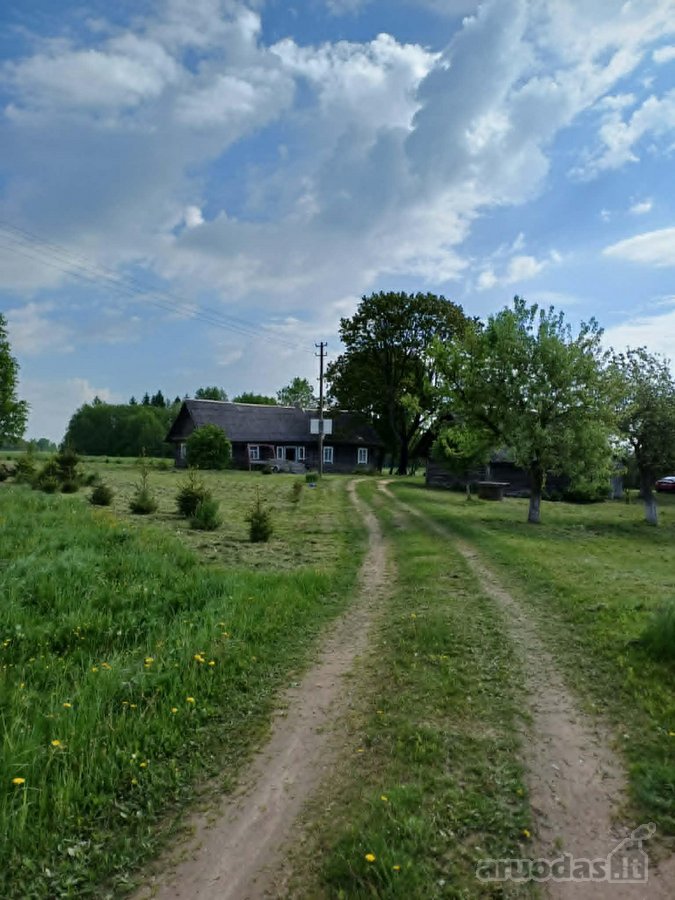 Skubiai parduodama prižiūrėta rąstinė sodyba