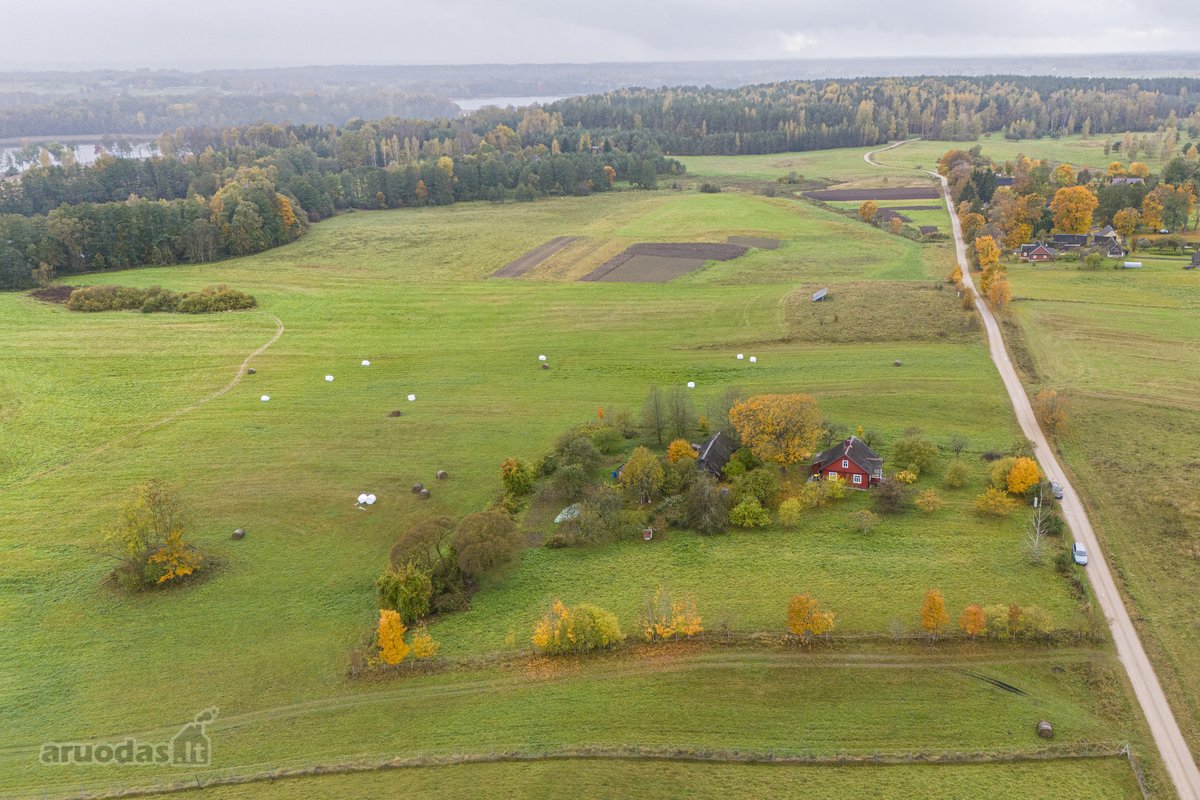 Molėtų rajone Bimbirių kaime (Čiulėnų sen.) - nuotraukos Nr. 3