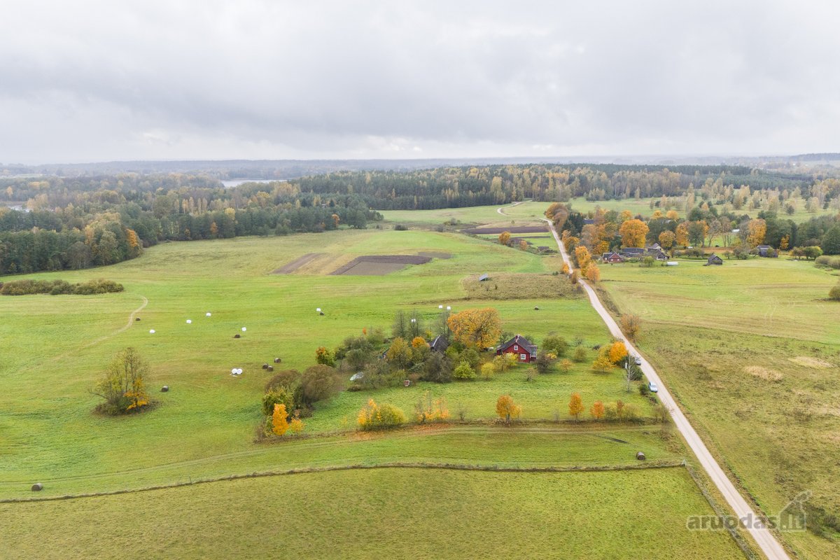 Molėtų rajone Bimbirių kaime (Čiulėnų sen.) - nuotraukos Nr. 11