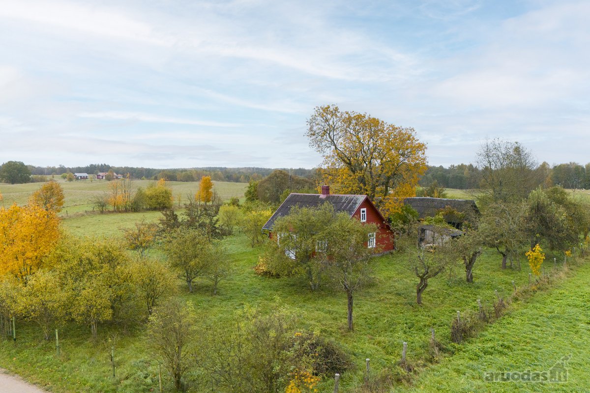 Molėtų rajone Bimbirių kaime (Čiulėnų sen.) - nuotraukos Nr. 13