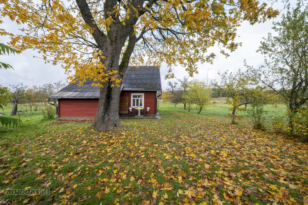 Molėtų rajone Bimbirių kaime (Čiulėnų sen.) - nuotraukos Nr. 32
