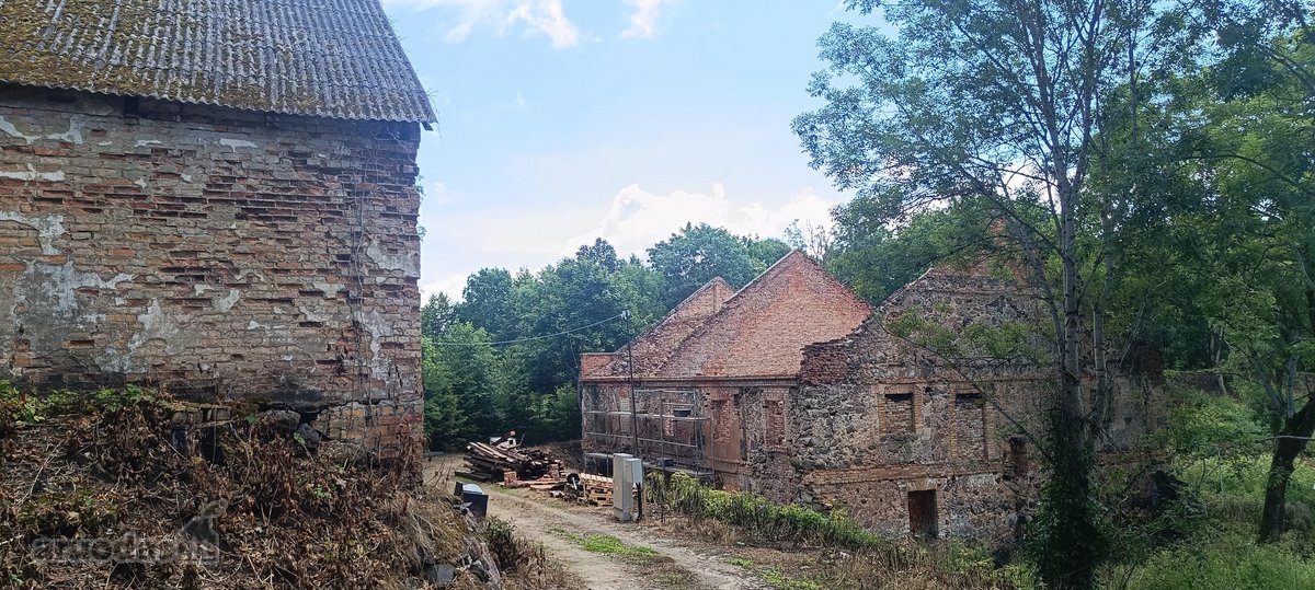 Prie Kelio A12 Šiauliai - Kryžkalnis , 104 a - nuotraukos Nr. 37