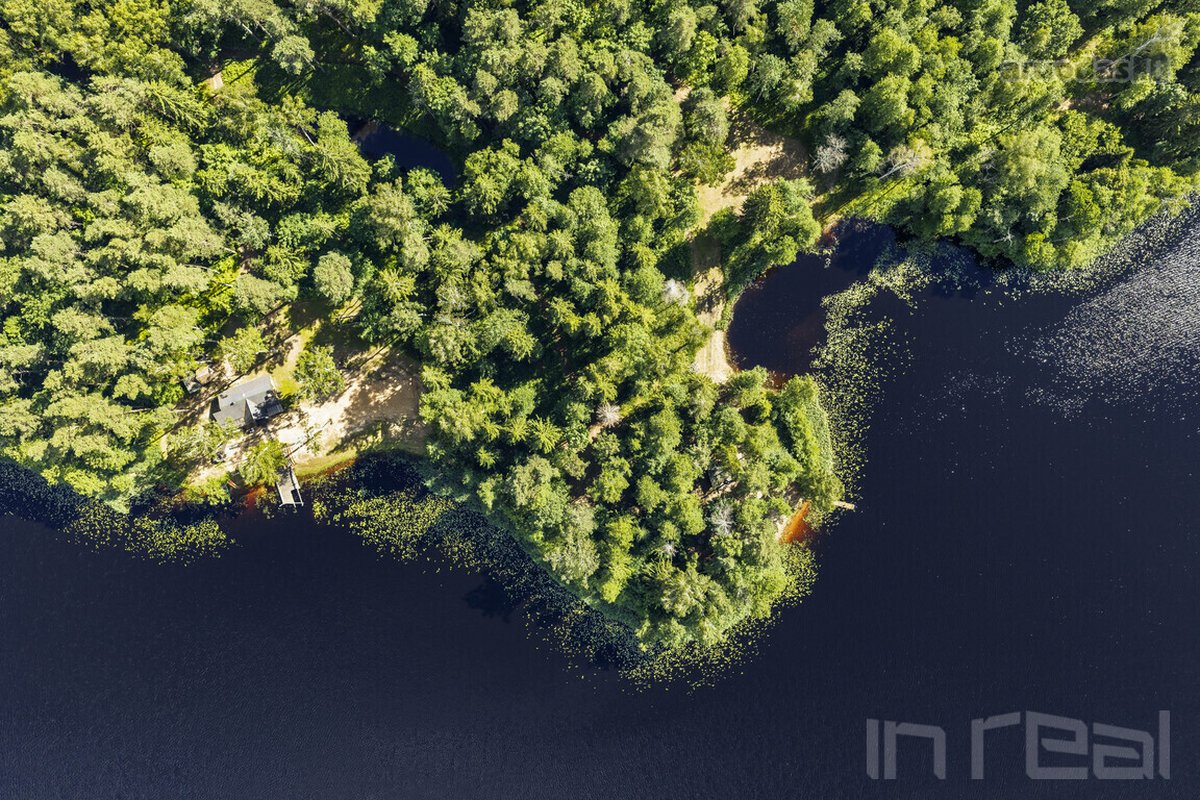 11 hektarų vientisa teritorija su nuosava,