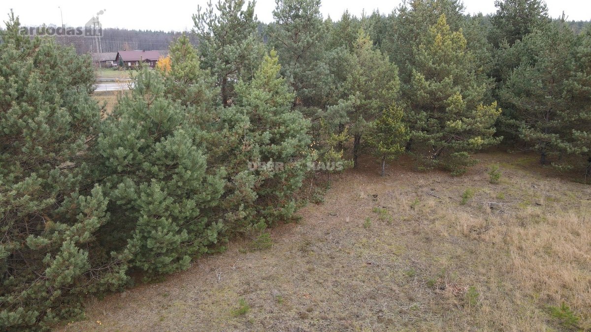 Parduodamas išskirtinis 14 gyvenamųjų sklypų - nuotraukos Nr. 8