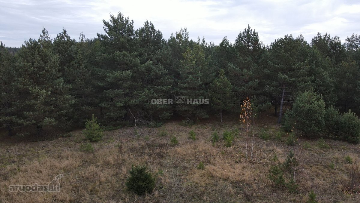 Parduodamas išskirtinis 14 gyvenamųjų sklypų - nuotraukos Nr. 9