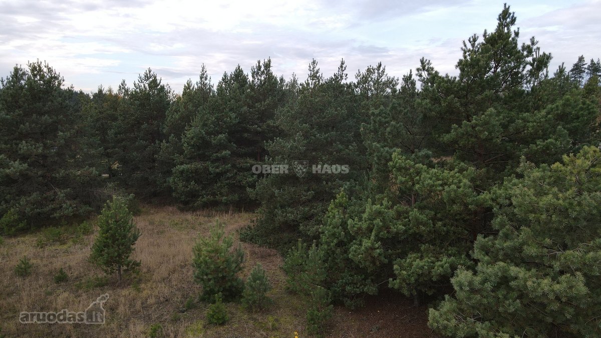 Parduodamas išskirtinis 14 gyvenamųjų sklypų - nuotraukos Nr. 10