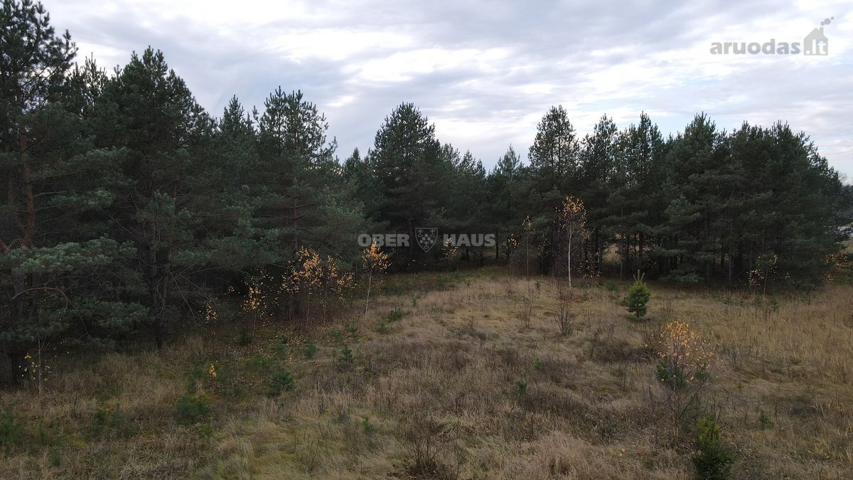 Parduodamas išskirtinis 14 gyvenamųjų sklypų - nuotraukos Nr. 11