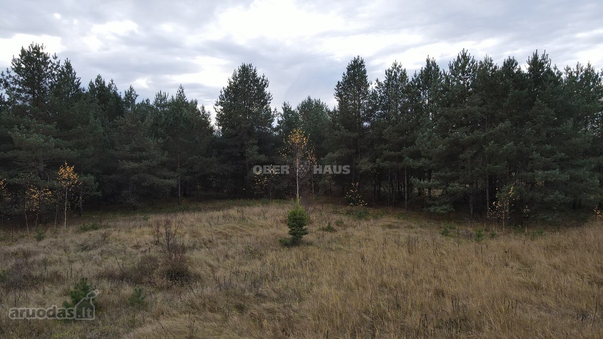Parduodamas išskirtinis 14 gyvenamųjų sklypų - nuotraukos Nr. 12