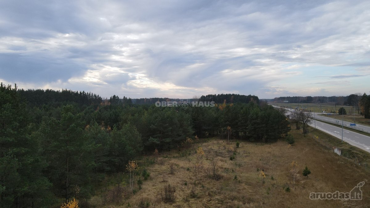 Parduodamas išskirtinis 14 gyvenamųjų sklypų - nuotraukos Nr. 14