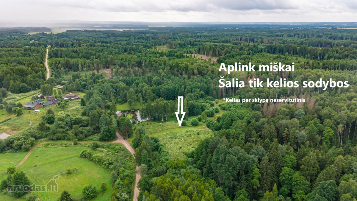 Parduodamas 1,7063 ha sklypas Vilniaus rajone - nuotraukos Nr. 4