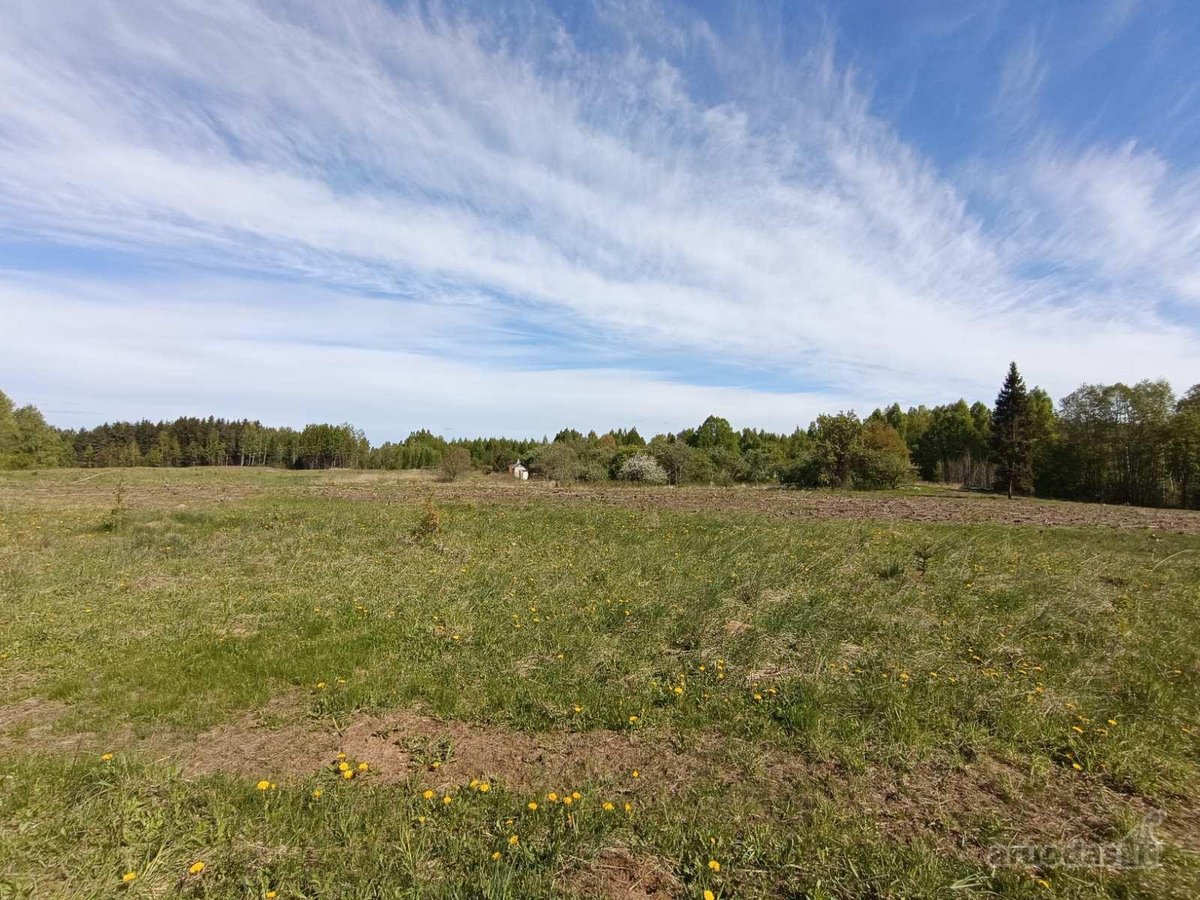 Unikalus 10,16 ha sklypas Medžiakalnio - nuotraukos Nr. 5