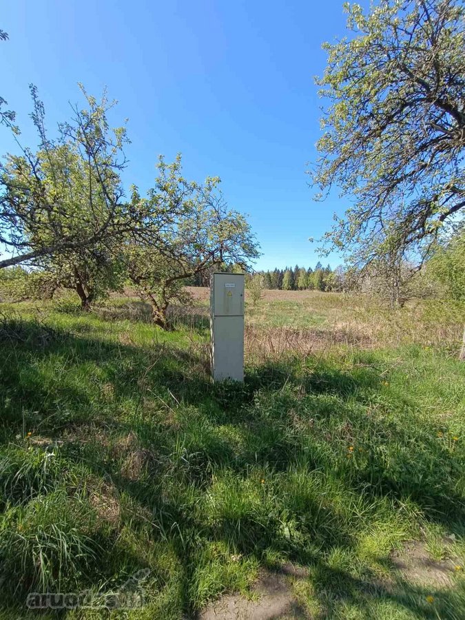 Unikalus 10,16 ha sklypas Medžiakalnio - nuotraukos Nr. 7