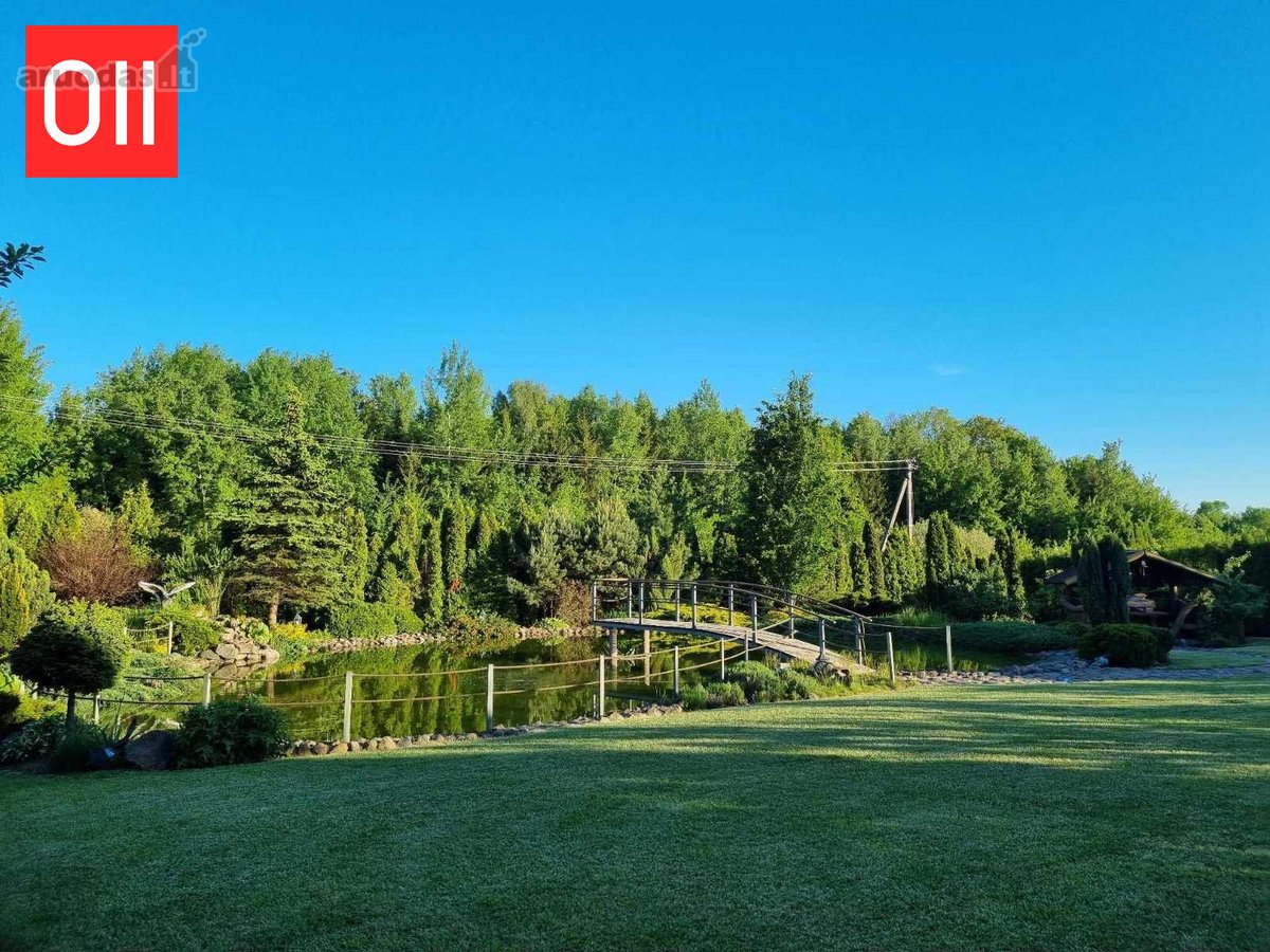 Akligatvio pabaigoje, prie pat miško, - nuotraukos Nr. 9