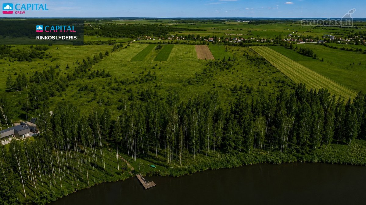 Parduodamas 1,7709 ha žemės ūkio paskirties - nuotraukos Nr. 11