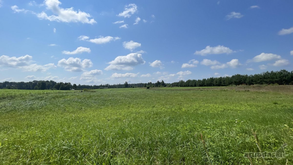 Širvintų r. sav., Plikiškių k., Žaliosios g. - nuotraukos Nr. 2