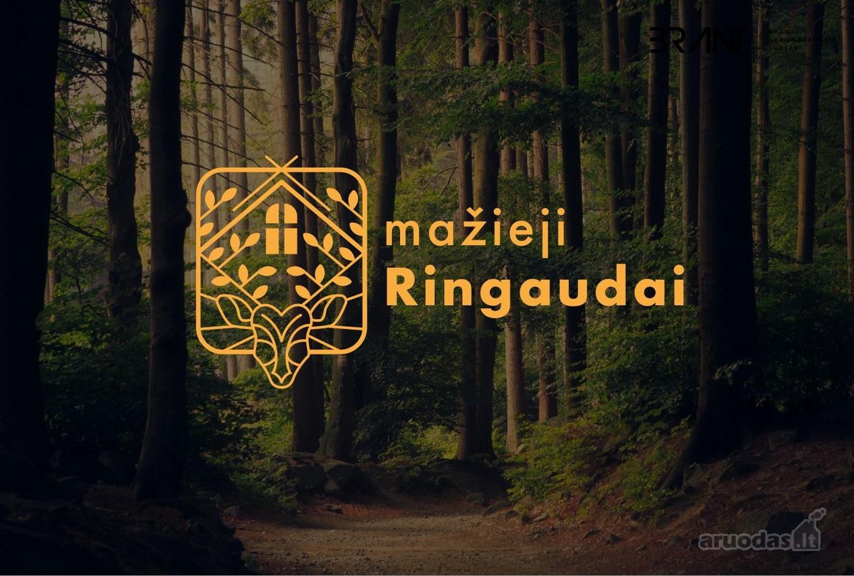 Naujame, apgyvendintame kvartale „mažieji - nuotraukos Nr. 17