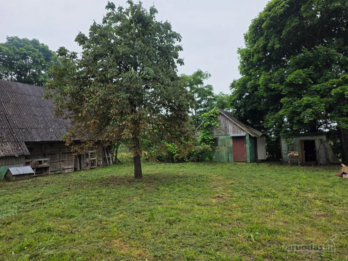 Parduodama autentiška sodyba su 1,79 ha žemės - nuotraukos Nr. 2