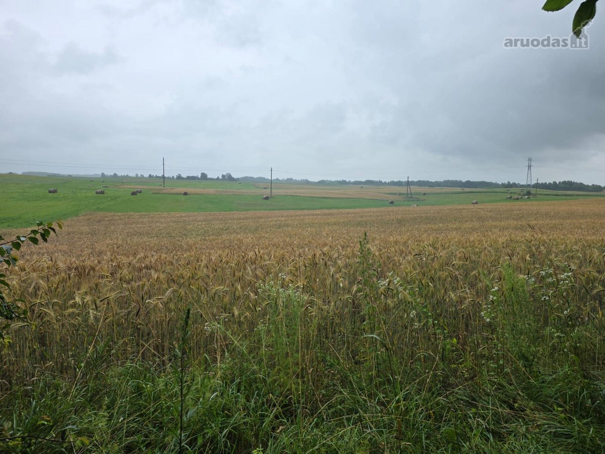 Parduodama autentiška sodyba su 1,79 ha žemės - nuotraukos Nr. 6
