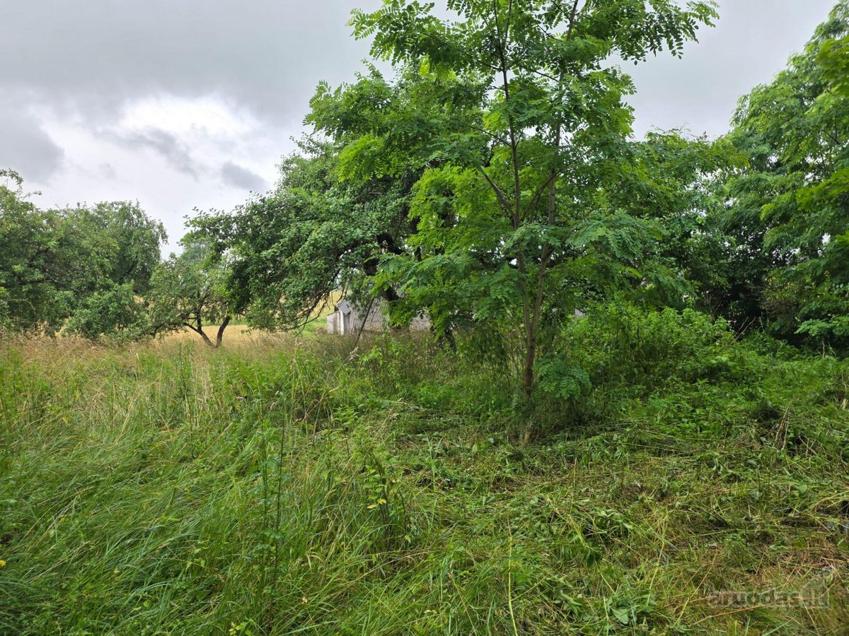 Parduodama autentiška sodyba su 1,79 ha žemės - nuotraukos Nr. 9