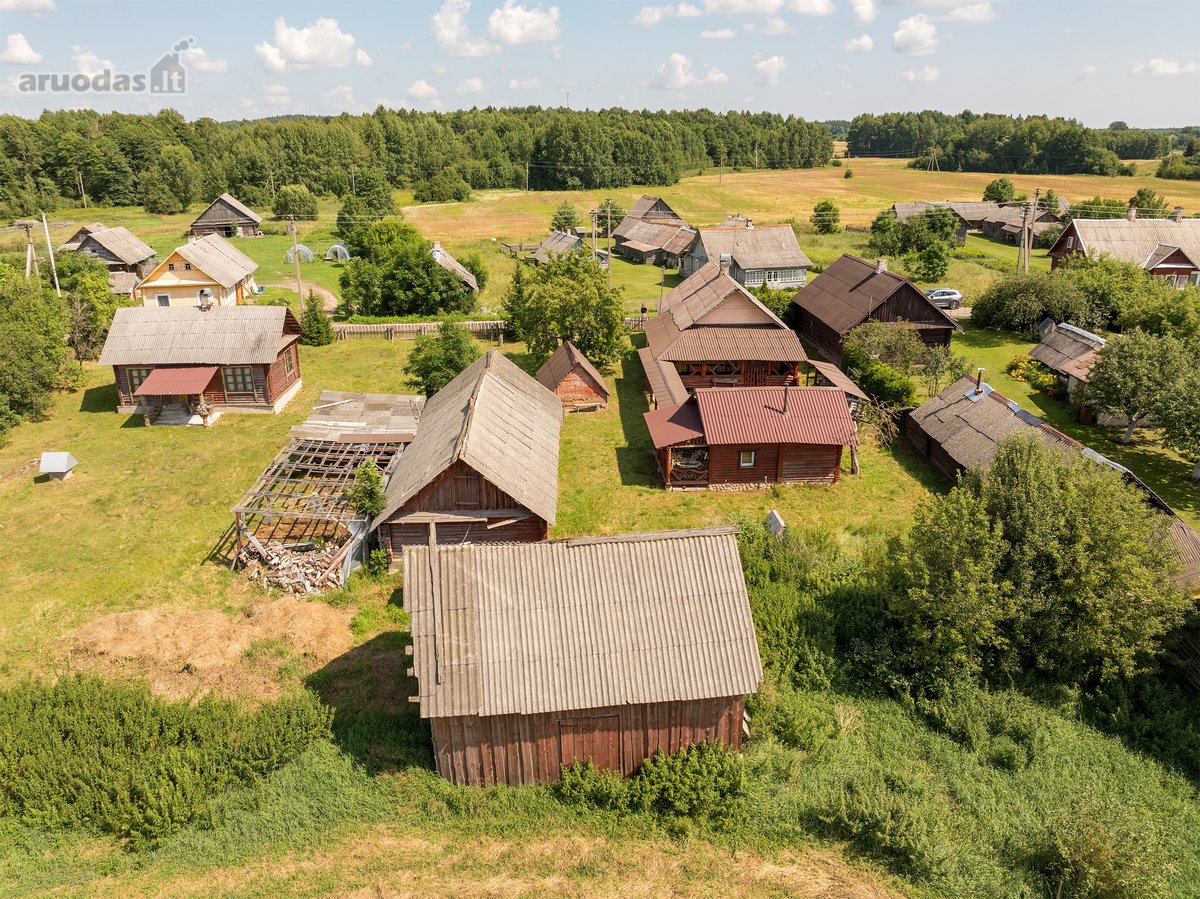 Dubičiai – nedidėlis turtinga istorija ir - nuotraukos Nr. 2
